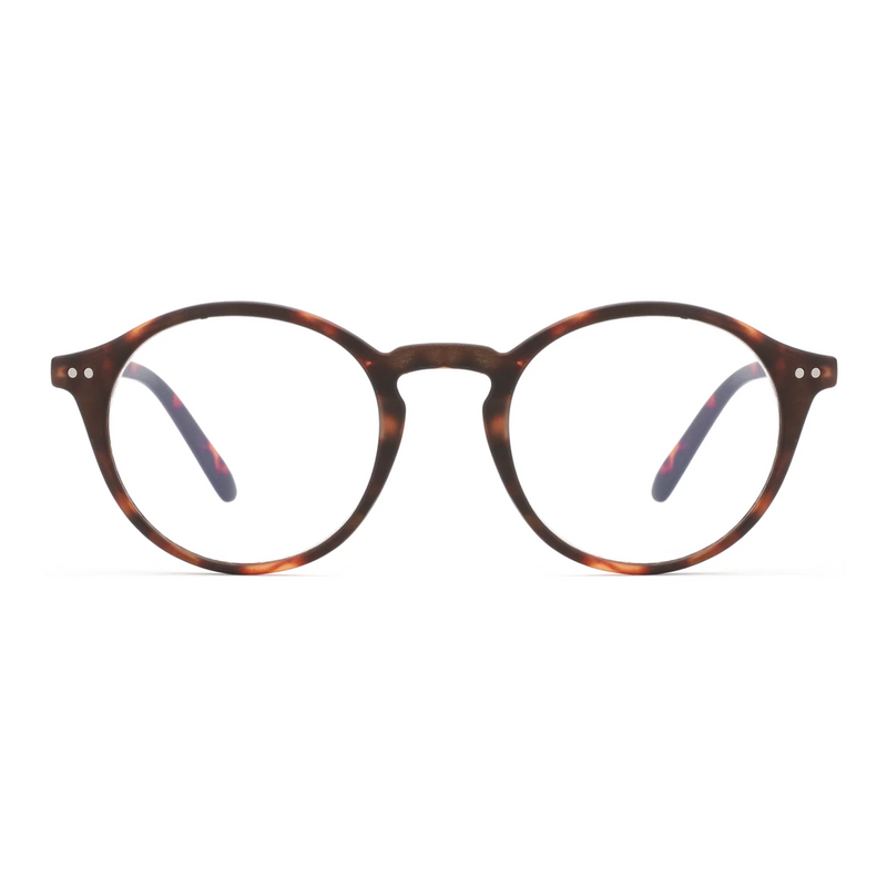 Foxus Glasses York
