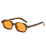 Foxus Glasses Paris