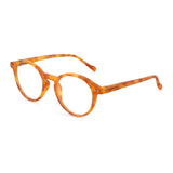 Foxus Glasses York